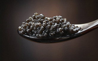 caviar