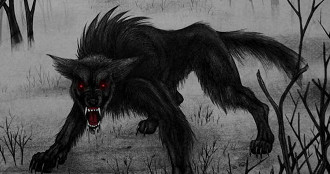 black black