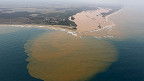 Os 5 maiores desastres ambientais causados pelo homem no Brasil