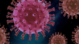 20 Fatos interessantes sobre os vírus