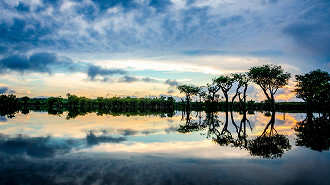 10 fatos surpreendentes sobre a Floresta AmazÃ´nica