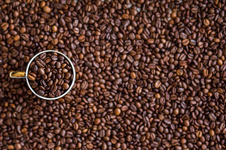 10 Curiosidades sobre cafÃ© que todo amante da bebida devia saber