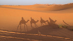 20 coisas que você não sabia sobre desertos 20 coisas que você não sabia sobre desertos