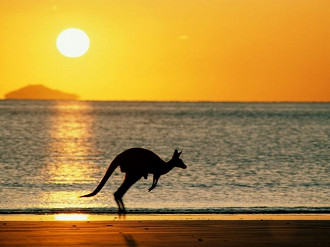 Austrália é a terra dos cangurus.