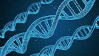 25 Fatos Interessantes Sobre Genética
