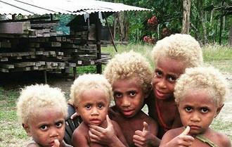 Melanésianos do Pacífico Sul loiros.