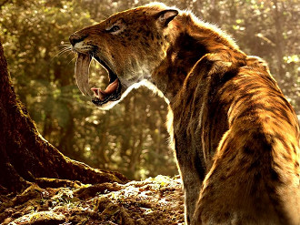 tigre tigre