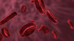 18 curiosidades sobre o sangue 18 curiosidades sobre o sangue