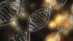 35 interessantes fatos sobre o DNA
