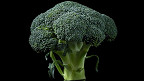 26 fatos deliciosos sobre o brócolis