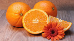 20 fatos curiosos sobre a laranja