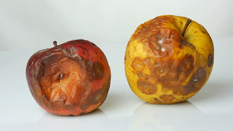 fruta podre