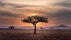 Os 10 lugares mais bonitos para visitar na África Os 10 lugares mais bonitos para visitar na África